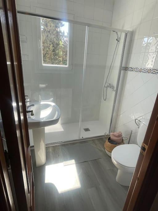 Exclusive Apartamento Limonar Malaga Zewnętrze zdjęcie